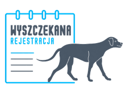 Wyszczekana Rejestracja